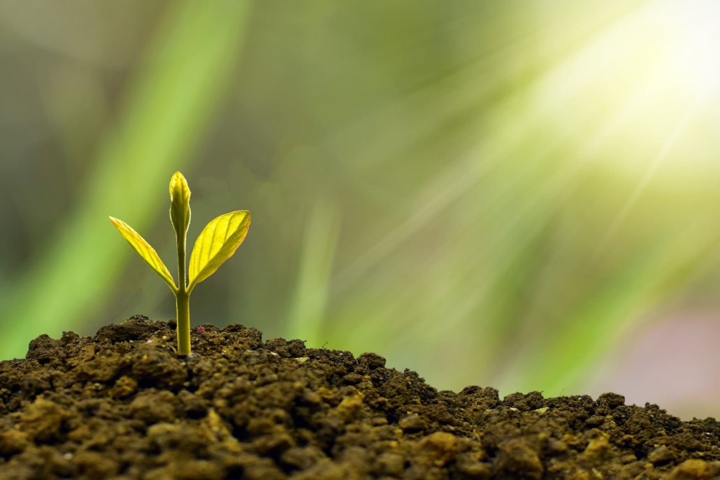 mutui per terreni agricoli