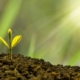 mutui per terreni agricoli